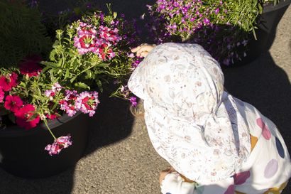 Yrittäjäyhdistys ilahdutti kukkasin – päiväkoteihin kesäkukkia lasten hoidettavaksi