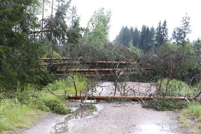Pelastuslaitos neuvoo miten toimia myrskyn jälkeen: "Voi olla, että juhannuksena kesämökeilleen matkustavat eivät pääsekään perille mökkiteille kaatuneiden puiden vuoksi"