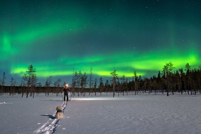 Valokuvaaja löysi oikeaa metsää vasta kansallispuistosta – Syötteen lumimaisemat miellyttävät Saimi Säilyä, katso upeat kuvat