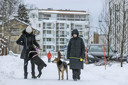Paljon asuntoja ja niissä niukasti neliöitä – Toppilansalmeen on valmistunut viime vuosina yksiöitä suhteellisesti enemmän kuin muualle Ouluun