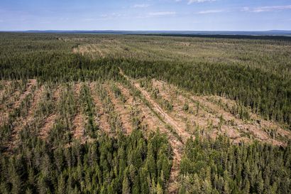 Suomi ilmastonmuutoksen torjunnan mallimaa