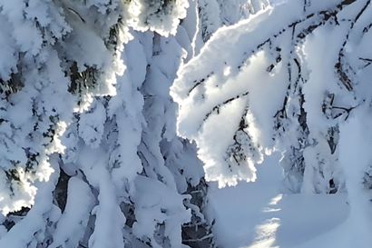 Nrk: Yksi kuoli ja neljä loukkaantui lumivyöryssä Norjan Yykeässä