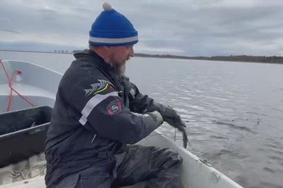 Hailuotolainen Mika Kemppainen on hurahtanut verkkokalastukseen ja kertoo, miksi kannattaa syödä kotimaista kalaa