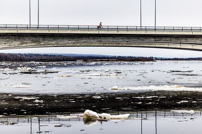 Viikon kuva: Jäät huilaavat joessa Rovaniemellä