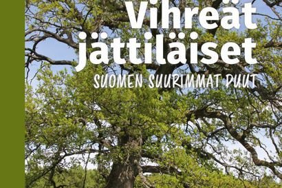 Kansien välissä: Ruhtinaanpoppeli ja muita puujättiläisiä – Suomen suurimpia puita esittelevä kirja kertoo myös Sairaalanniemessä kasvavan poppelin koordinaatit