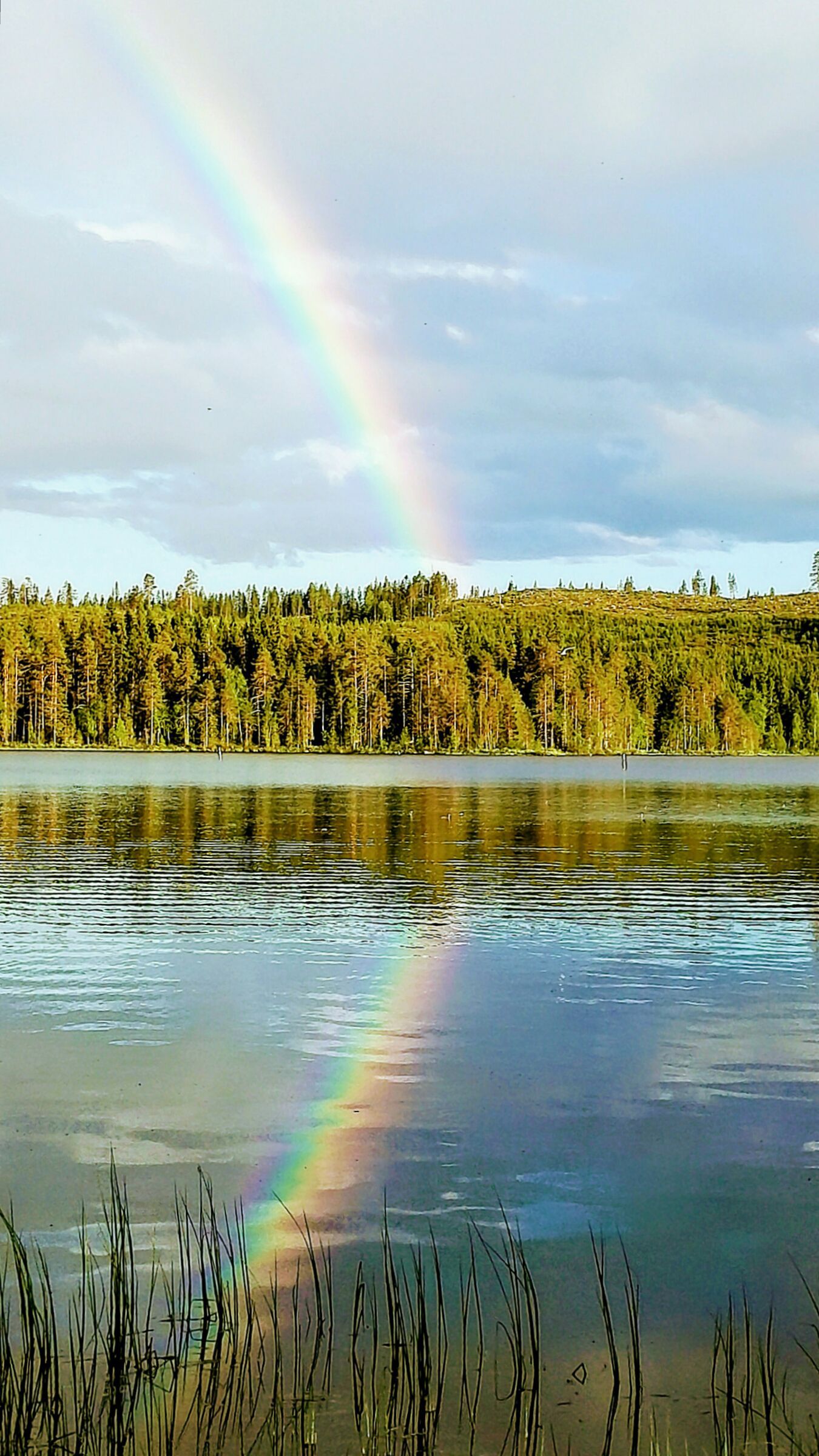 Kesäkuun 2019 lukijakuvat, osa 1 | Kaleva