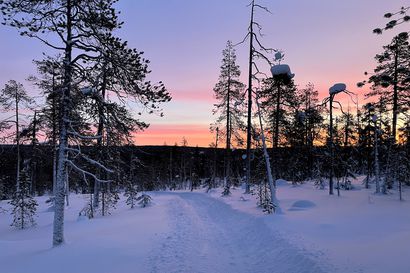 Mitä Suomen uusin kansallispuisto tarjoaa talvella? Läskipyörä on paras väline Sallan talvireiteille