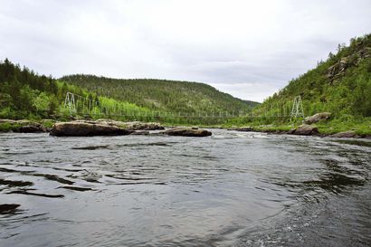 Metsähallitus laittaa Pohjois-Lapin siltoja kuntoon kesällä – Kultalan silta Hammastunturin erämaa-alueella on kiinni vielä heinäkuun ajan
