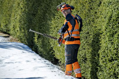 Ulkoinen tukiranka auttaa raskaissa töissä – katso videolta, miten eksoskeleton auttaa Markku Laitilaa leikkaamaan pensasaitaa