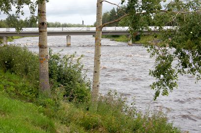 Pyhäjoen Vesistö ry palkkaa toiminnanjohtajan, kuuden kunnan yhteishanke tähtää jokiveden tilan parantamiseen