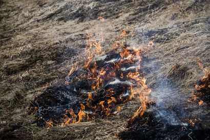 Pudasjärvellä metsäpalovaroitus – saako viikonloppuna grillata?
