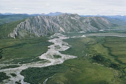 Öljynporausoikeuksien myyntiä Alaskan arktisella suojelualueella yritetään estää vielä oikeustoimin