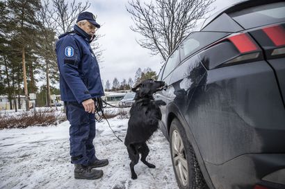 Huumausainerikoksissa raju kasvu Oulussa – Väkivalta on raa'istunut uuden huumekauppasukupolven myötä ja esiin on tullut jopa kidutusta, sanoo poliisi