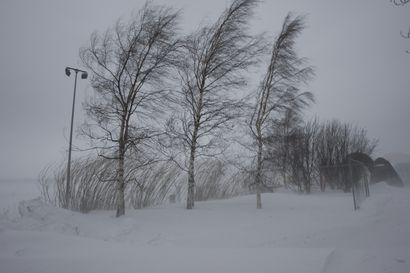 Pohjois-Lapissa tuulee maanantaina vaarallisen kovaa – 25 metriä sekunnissa puhaltava tuuli voi kaataa puita
