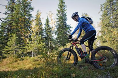 Puisto ja pyörät houkuttelevat Syötteelle – Luontokeskuksessa lasketaan, että maastopyöräilijöitä on jo enemmän kuin patikoijia.