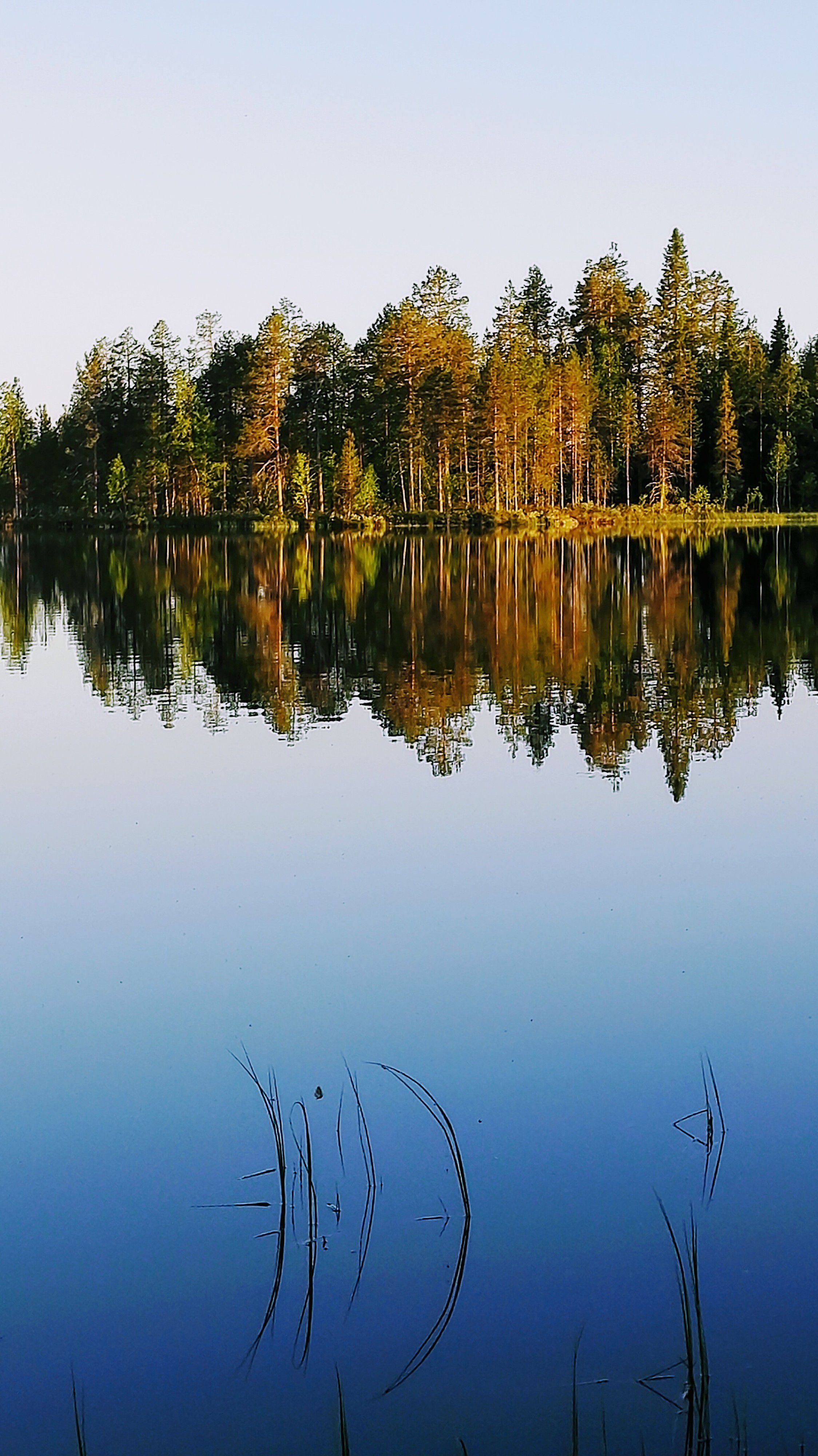 Kesäkuun 2019 lukijakuvat, osa 1 | Kaleva