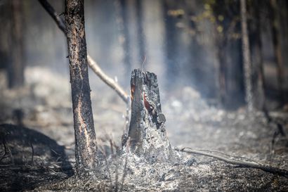 Kittilässä ja Kolarissa paloi maastoa – pelastuslaitos muistuttaa avotulentekokiellosta