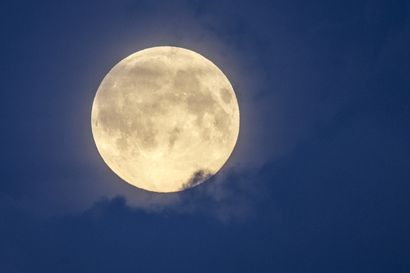 Tänään kuumottaa täysikuu, huomenna aamuyöstä Perseidien tähdenlentoparvi on huipussaan – Katso Ursan taivastärpit elokuulle