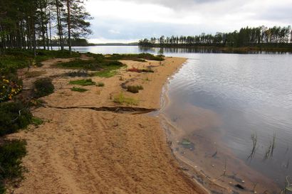 Kansallispuiston verran uutta kansallispuistoa: Esittelemme Tiilikkajärven uuden osan, jota halkoo hylätty retkeilyreitti