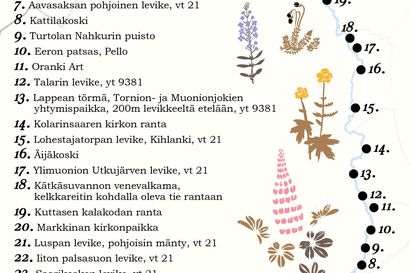 Väyläfestivaalit esittelee 25 pohjoisen runoilijan runoa runokätköjen avulla – Reitti kulkee Torniosta Kilpisjärvelle