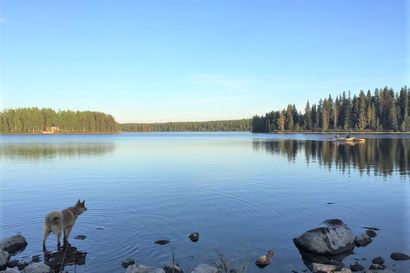 Digiloikka Avoimet Kylät -päivänä – Koillismaalta mukana Kurkijärvi, Salmisen seudun kylät ja Vuotunki. Valtakunnallisesti tapahtumia yhteensä noin 500
