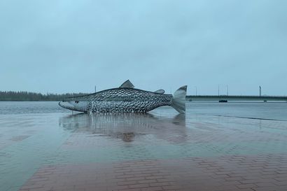 Vesi jatkaa nousua Tornionjoessa ja Kojamo ui – Tulvahuippu koettiin jo Ivalojoella, Ounasjoen nousu on hidastunut