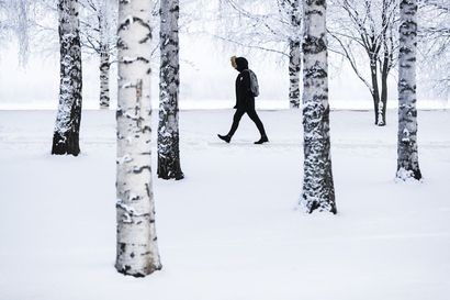 Jouluaaton aamuna oli lunta kaikilla Suomen mittausasemilla – pohjoisessa pysytään jouluna selvästi pakkasen puolella