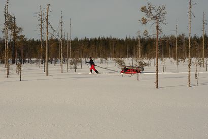 Hiihtovaellus paikkaan, jonka metsäsotaa seurasi koko Suomi – Tällainen talviretkikohde on Talaskangas, jossa luonnonsuojelu voitti