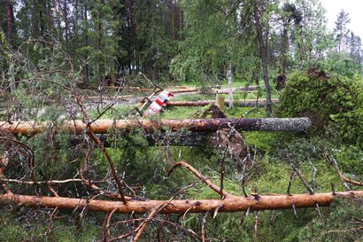 Myrsky kaatoi puut ja heitti peräkärryä: "Luulin, että koko talo lähtee lentoon, oli se myräkkä" - katso kuvia tuhoista