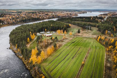Sähköä Suomen ja Ruotsin välillä tulevaisuudessa siirtävän Aurora Linen Ruotsin puolen valmistelut vaikuttavat nyt pörssisähkön hintaan – vanha siirtoyhteys maiden välillä on tilapäisesti pois käytöstä
