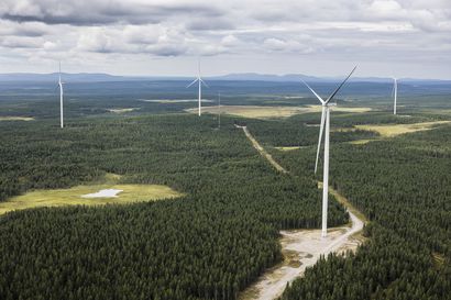 Mikä on oikea hinta tuulivoi­ma­la-alueen maa­poh­jas­ta? – Metsäasiantuntija painottaa, että sopimuksessa on muutakin tärkeää katsottavaa kuin vuokrataso