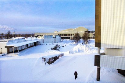 Lapin yliopiston opiskelijat toteuttavat lumiveistoksia Rovaniemen Aalto-keskukseen – inspiraatiota haettu myös Aallon taiteesta