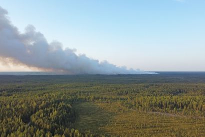 Kalajoen maastopalon laajuus varmistui: poltti metsää 227 hehtaarin alueelta – tuhoutuneeksi uskottu kaivinkone saatiinkin pelastettua paloalueelta