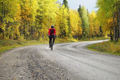 Ruska Ridessa pyöräillään 2 000 kilometriä kahdeksassa päivässä – "tämä on epämukavuuden sietokilpailu"