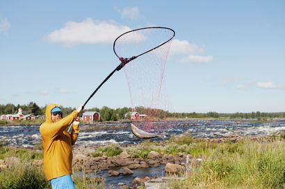Suomi ja Ruotsi sopivat täydennyksiä Tornionjoen kalastusmääräyksiin: punttikalastus kielletään tietyllä alueella, lippoamiseen puolentoista vuorokauden tauko, rysäkalastuksen alkua myöhennettiin