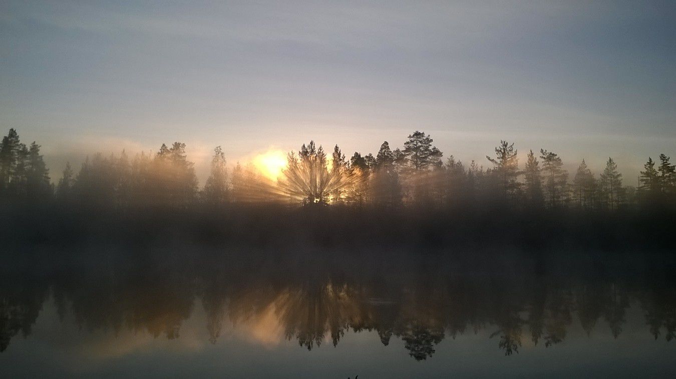 Kesäkuun 2015 lukijakuvat, osa 2 | Kaleva