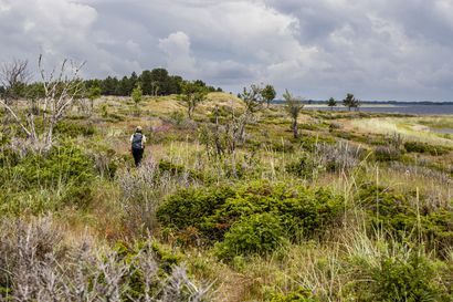 15 kilometriä Suomen rajasta sijaitsee kansallispuisto, josta harva on edes kuullut – Hiekkadyynit ja karut rannat tuovat mieleen Afrikan savannit