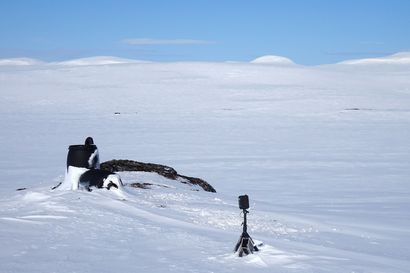 Tutkijat esittävät uutta kansallispuistoa Utsjoelle – Tarkoitus suojella alueen herkkää subarktista luontoa