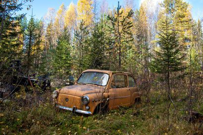 Miten hyvin tunnet vanhat autot? Nämä 11 metsään hylättyä autoa testaavat autotietämyksesi