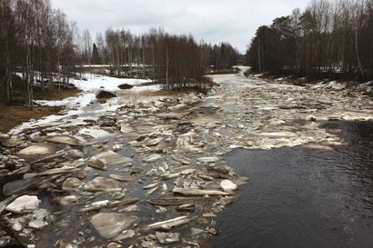 Pohjois-Pohjanmaan kevään tulvahuipuista odotetaan tavanomaisia – Siikajoen tulvahuippu viikon päästä
