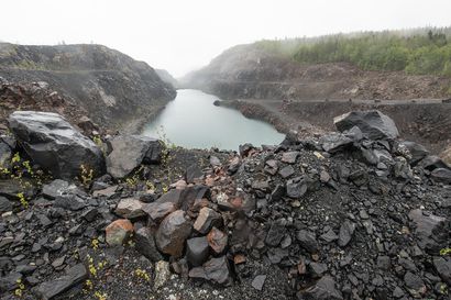 Paljonko Kynsijärven ahvenen maksassa on nikkeliä? – Mustavaarassa ja lähiympäristössä valmistellaan ympäristön tilan mittauksia mahdollisen kaivoksen paluun takia