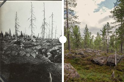 Lappiin rakastunut geologi kuvasi pohjoista maisemaa – Lähes sata vuotta myöhemmin inarilainen Tapio Tynys lähti hänen jäljilleen ja teki pysäyttävän havainnon