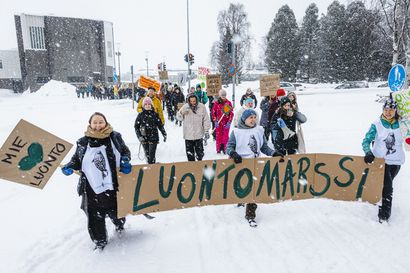 Kahdesta mielenilmauskulkueesta vain toinen toteutui – luontomarssi keräsi Rovaniemellä noin 80 osallistujaa, puhututtanut kouluruokamarssi ei ollut kattauksessa