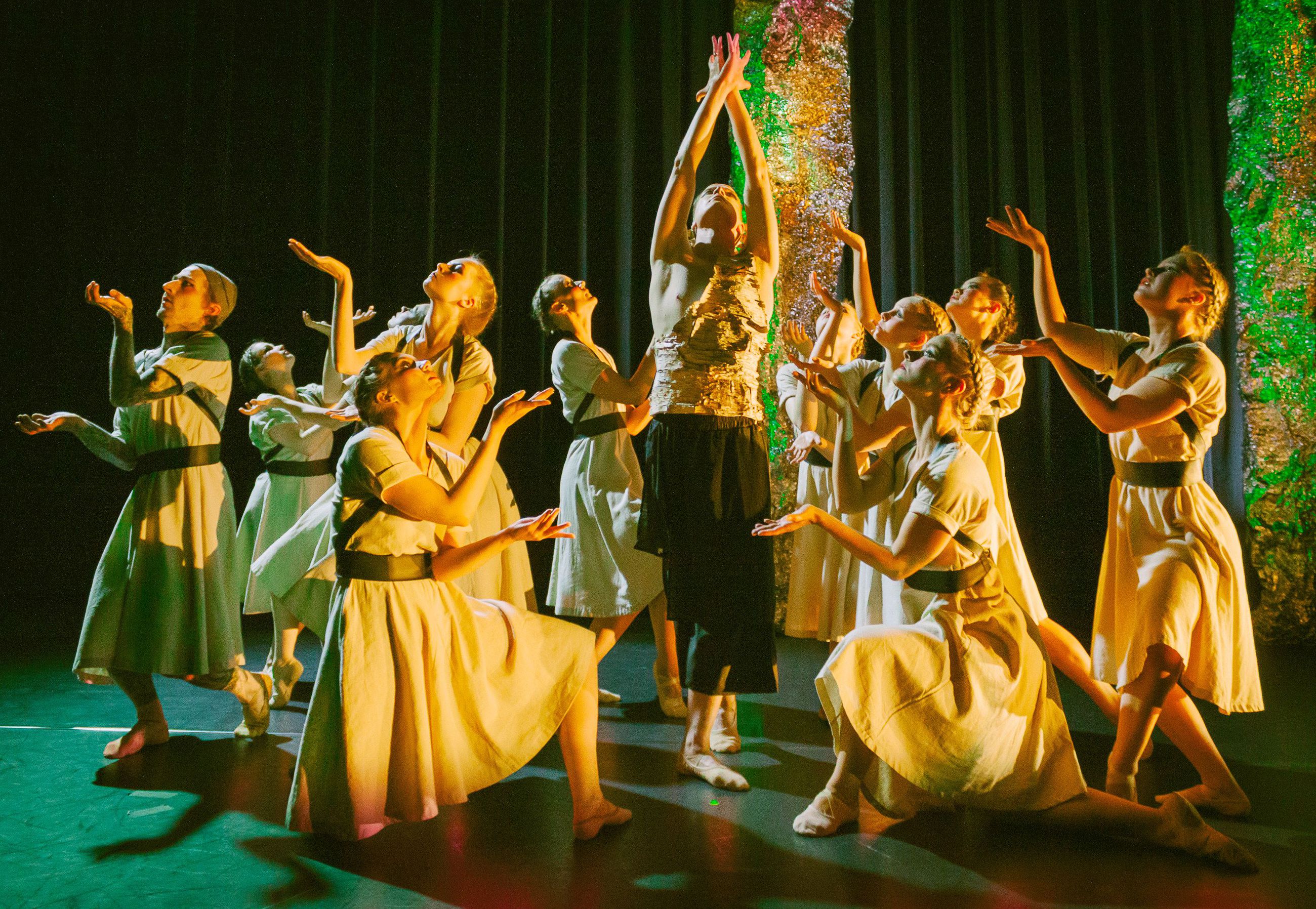 Balettituotanto Tenhon uusin kantaesitys Mahla edustaa oululaisen balettikulttuurin elinvoimaa. Baletissa esiintyy yhteensä 12 taitavaa baletin aikuisharrastajaa ja tanssin ammattilaista. Kuvassa keskellä Koivun hengen roolissa tanssiva Jouni Uosukainen.