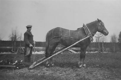 Eemil Törmänen viljeli maata hevosella, hänen poikansa traktorilla ja nyt pientiloilta käydään muualla töissä – jopa 700 maatonta viljelijää sai tilan 1930-luvulla Kuusamossa ja se mullisti paikkakunnan tulevaisuuden