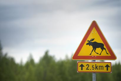 Autoilija törmäsi hirveen Rovaniemen Ranuantiellä