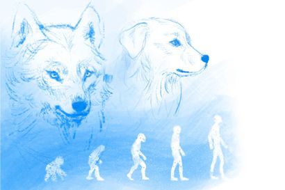 Ihmisen kannattaisi ottaa mallia koirista – geenimme ovat pitkälti samat kuin muilla eläinlajeilla, mutta vain me kykenemme äärimmäiseen pahuuteen