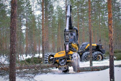 Kuusamon kaupunki antoi lausuntonsa kansalliseen metsästrategiaan: Metsiin liittyvä säädösten valmistelu pidettävä kansallisena