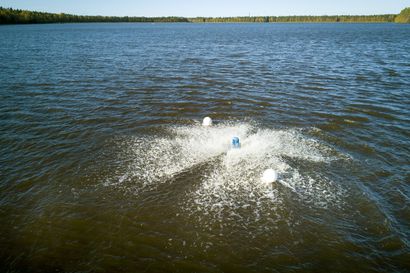 Oulussa tehty kesän ensimmäiset sinilevähavainnot – katso tästä, miten testata kotikonstein, onko vedessä näkyvä levä sinilevää