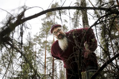 Lapin metsistä on suojeltu 10 prosenttia – Luontopaneelin puheenjohtajalle Janne Kotiaholle se ei silti riitä